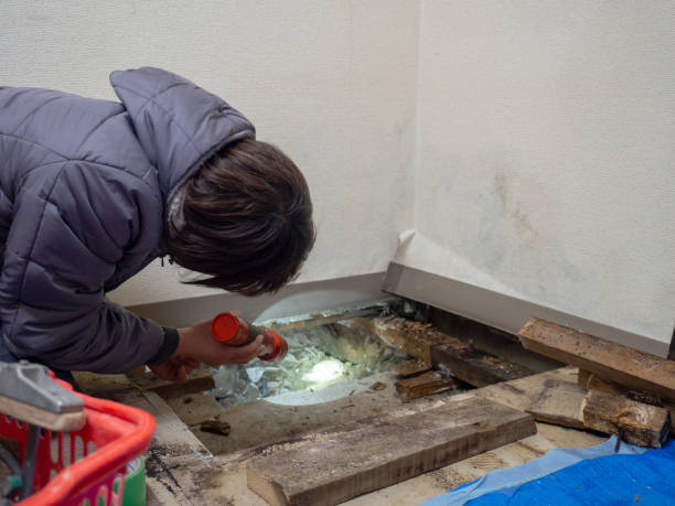  Coshocton, OH Mold Removal Pros