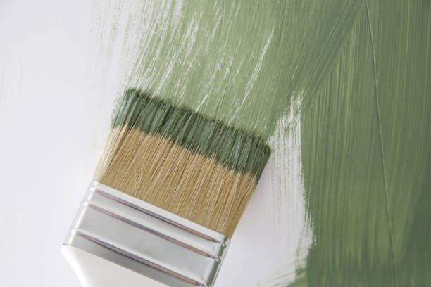 Best Mold Remediation for Rental Properties  in Coshocton, OH