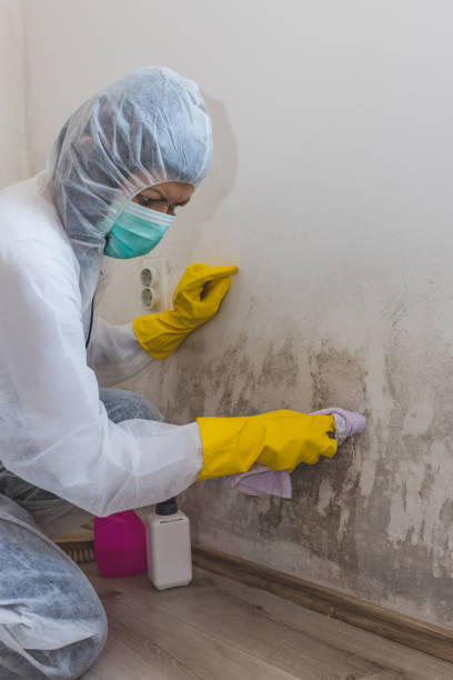 Best Real Estate Mold Inspection  in Coshocton, OH