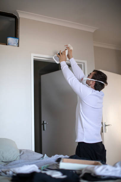 Professional Mold Removal in Coshocton, OH