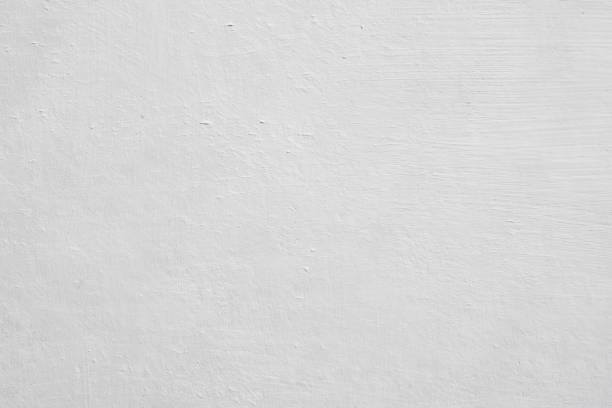 Best Basement Mold Removal  in Coshocton, OH