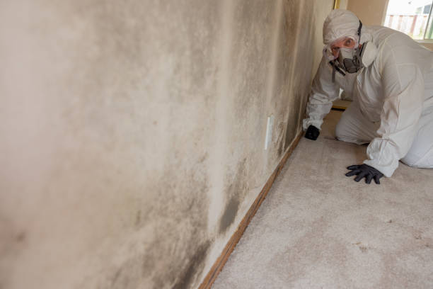 Best Indoor Air Quality Assessment  in Coshocton, OH